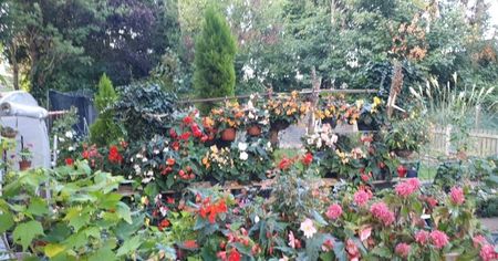 received_473075674685307