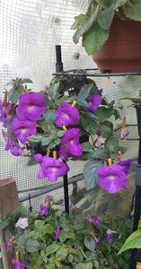 received_843031617061999