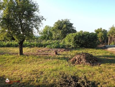 w-Gradina in toiul verii-Garden in the summer time