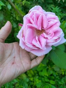 IMG20220907181530
