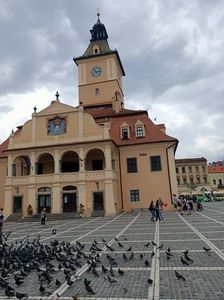 Img.2022.08.22