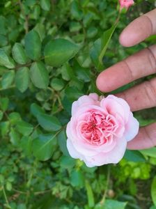 IMG20220908173918