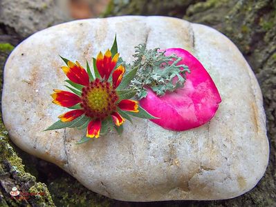 w-Rock Decor