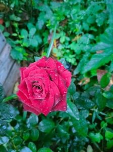 IMG20220910065847