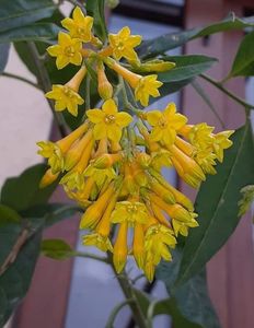 Screenshot_20220802-150924_Facebook