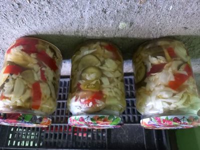 ciolomada pentru iarna