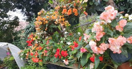 received_382734320731176