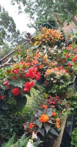 received_771544893904723