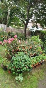 received_3199039526982850