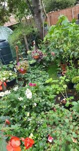 received_836697304358248