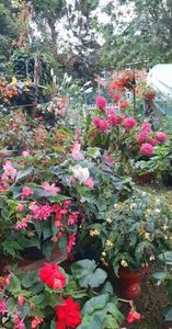 received_506009174708815