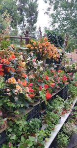 received_1719806255070175