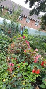 received_614233106828576