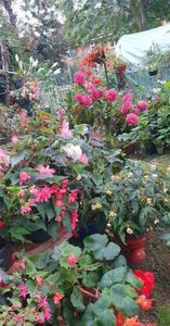 c58a76e1-2add-419f-8f04-2f5ba6dfd85aphoto