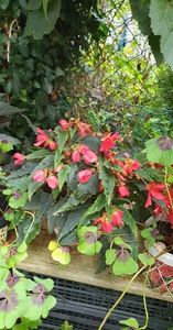 received_1336925180048504