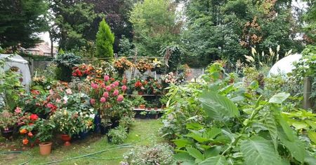 received_952953032766880