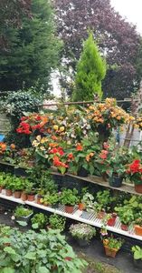 received_611784780549409