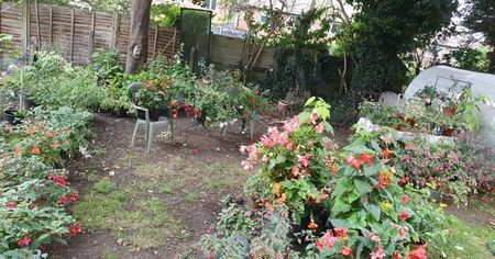 received_785652019445976