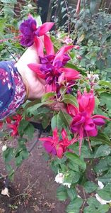 received_837742054060941