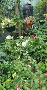 received_3372984016268883