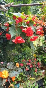 received_5380472542072240