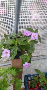 received_625340349151395