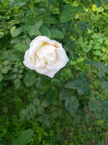 IMG20220908173946