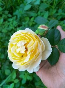 IMG20220908173243