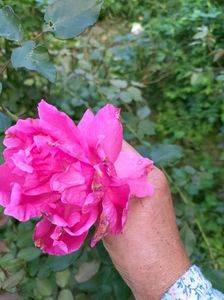 IMG20220908173141