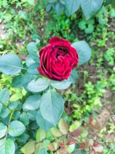 IMG20220908173104