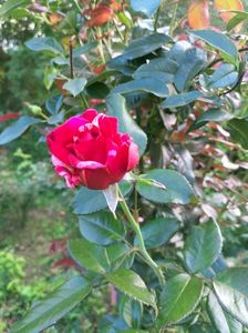 IMG20220908173048