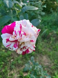 IMG20220908173039