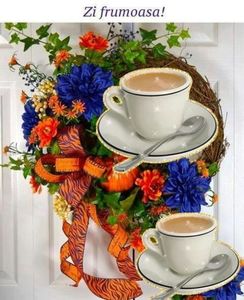 84700942_2556056961306524_8391978673154031616_n-1