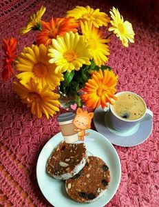 55906339_2216014698712587_8498215921876205568_n-1