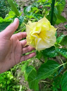 IMG20220914120148