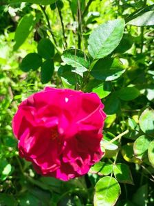 IMG20220914113722