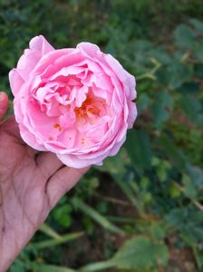 IMG20220912124159