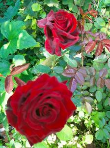 IMG20220912123754