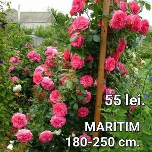 5796aee4321342a19ab47ddf5f706c04