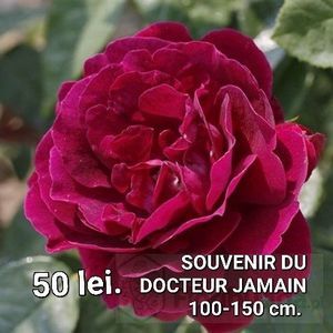 4f79de352c004f07b6e2b52d6a8f9817