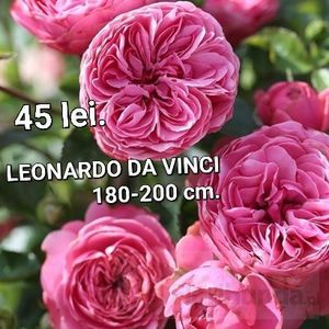 ba57d750d1124d71ab25a995cb309023