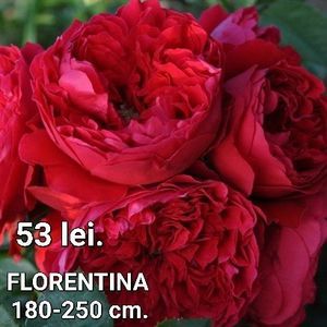 49c84726221d42adadb3f982b7dbc93f-1