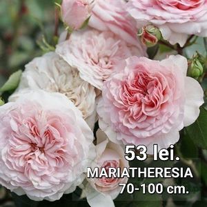 e2332eda3f4e41f498c584e124a9cddb