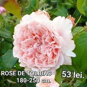 60e2b93e00e8495daa6c58f77c9f889c