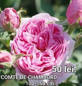 075a3b71cfdd44428b73ae44c7651ea5