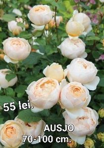 ceb670b592d84f649c4b9754850b030f