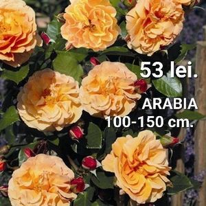 ee750cb2cf7b4be5ba94eb4cc600094e