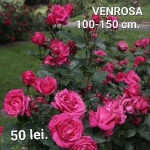 153147de005c4473903a4faa7cb10293