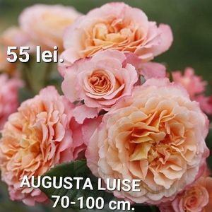 f3e4a995c27d448bb9e80c9555f9cbb1
