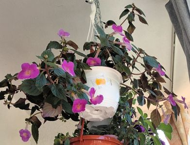 Multumeeeeeesc! ❤️❤️❤️